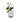 Jazz Vase