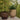 Terra Flowerpot